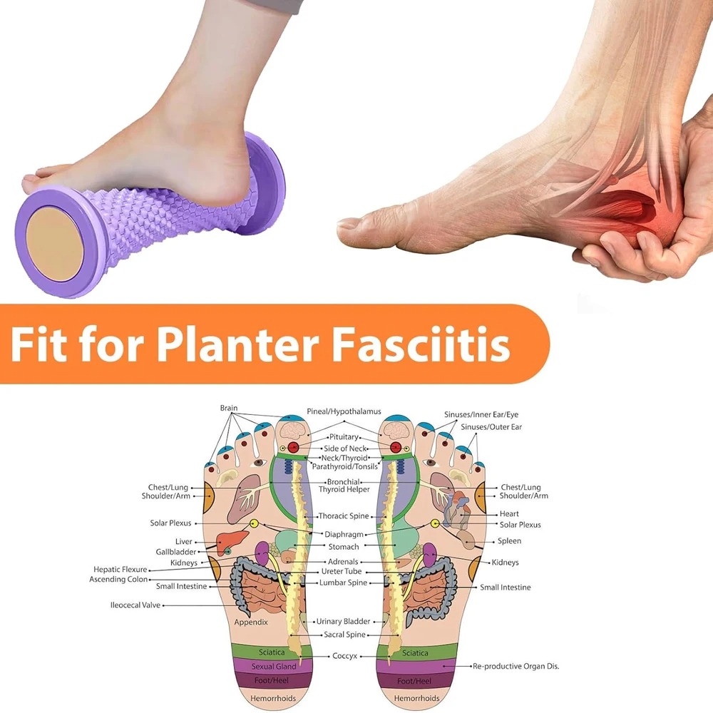 Rodillo de masaje ergonómico p - Reflexology Foot Roller reseña y precio